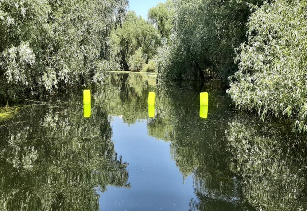 Măsuri pentru protecția habitatelor naturale din Rezervația Biosferei Delta Dunării