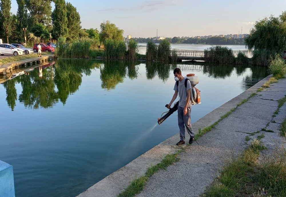 Continuă programul de dezinsecție în municipiul Constanța