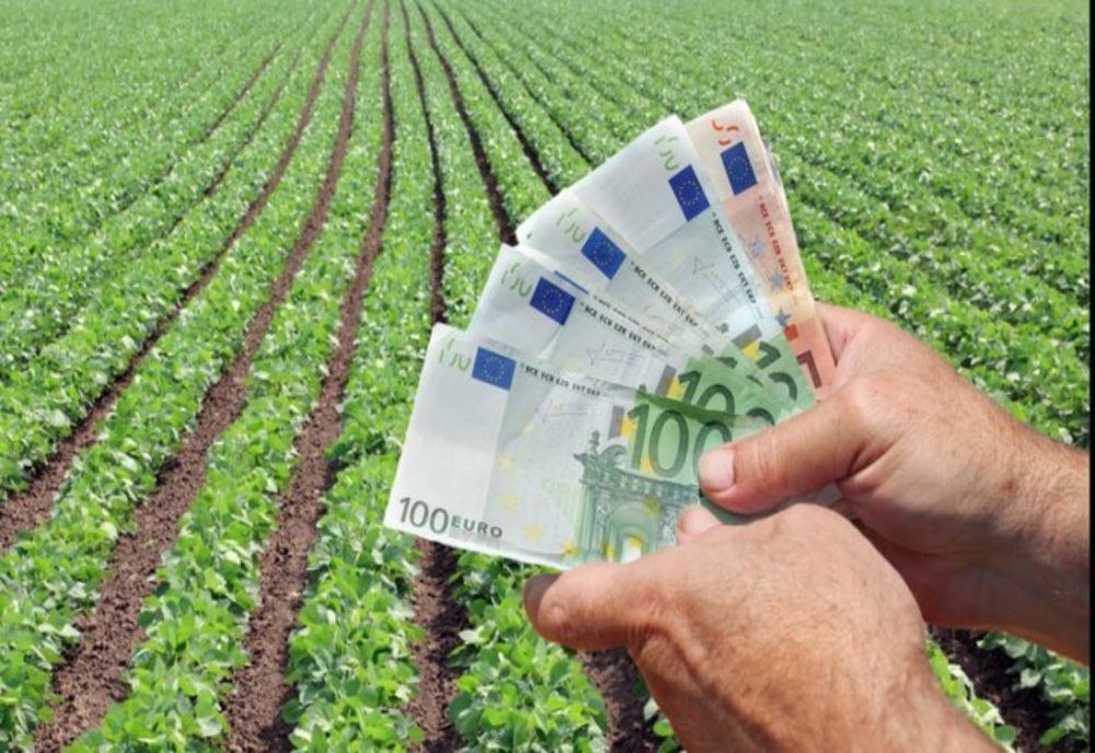 Termenul de depunere a proiectelor pentru investiții în procesarea produselor agricole a fost prelungit