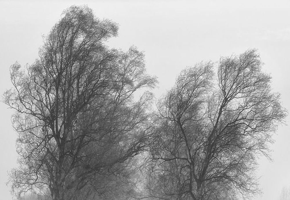 Cod galben de vreme severă imediată în județele Constanța și Tulcea