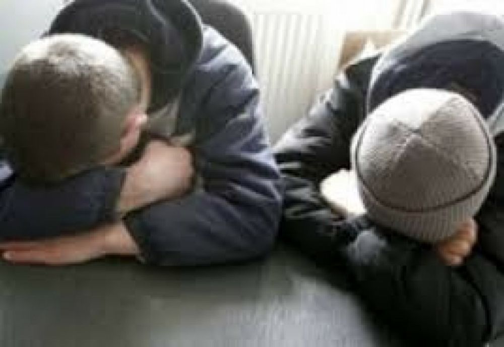 Hoții care au dat spargerea la ferma din Murfatlar, au fost prinși