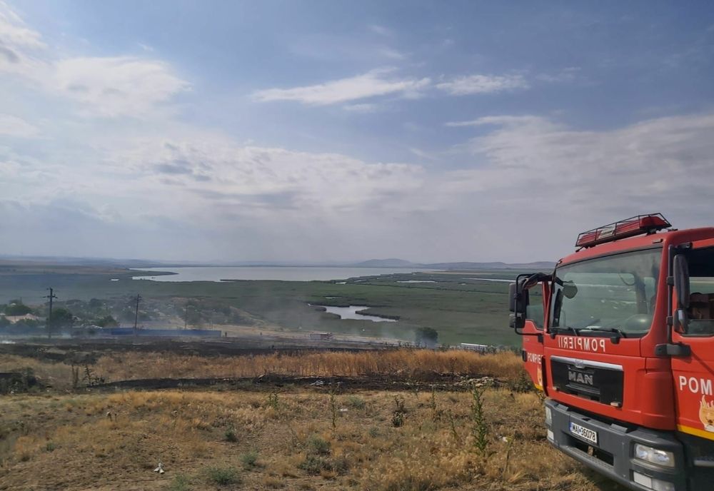 FOTO 10 hectare de vegetație uscată făcute scrum la Enisala