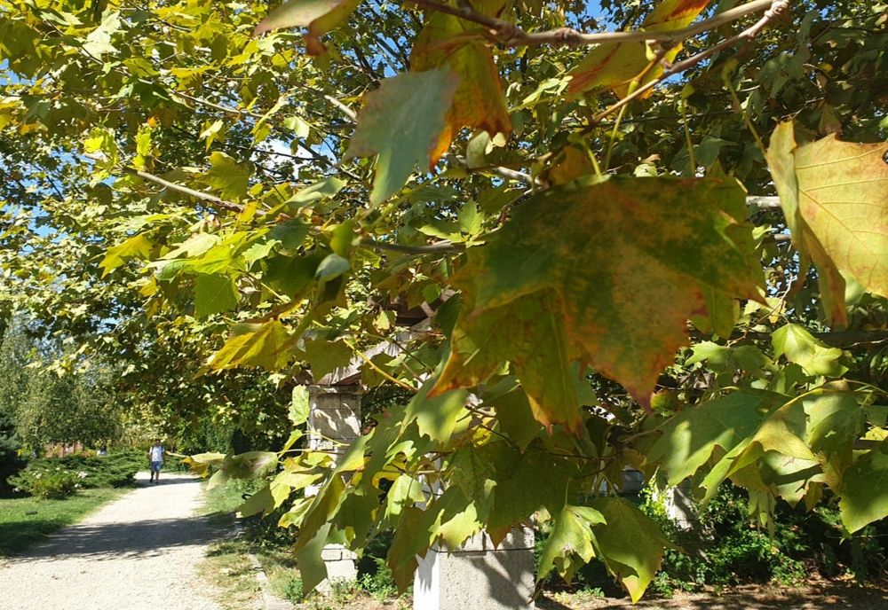 Vremea în weekend: temperaturi până la 24 de grade - Ce iarnă ne așteaptă