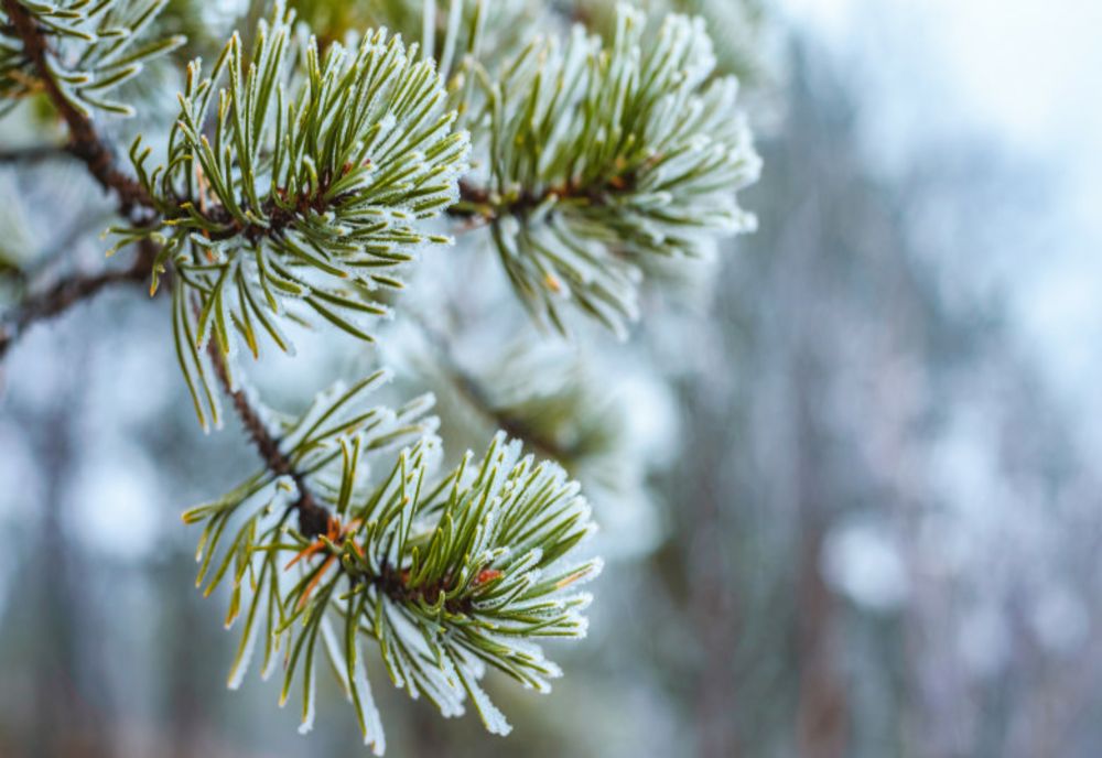 ANM anunță posibile temperaturi de peste 20 de grade, în decembrie - La ce anomalii ne-am putea aștepta