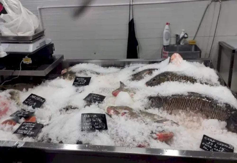 Amenzi de peste 20.000 de lei date de polițiștii constănțeni