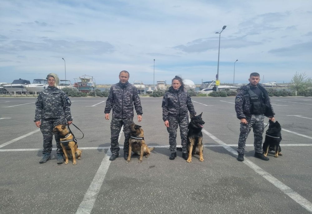 Forțe impresionante de ordine vor acționa în minivacanța de 1 Mai