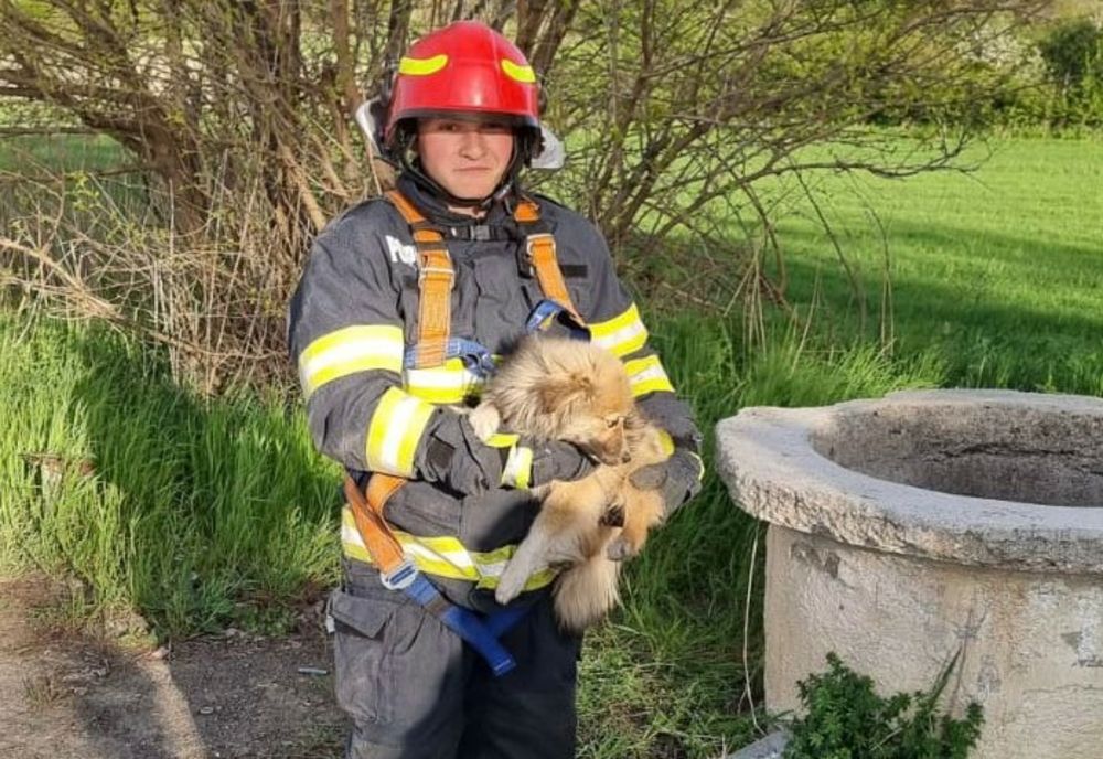 VIDEO Cățel norocos salvat dintr-o fântână adâncă 