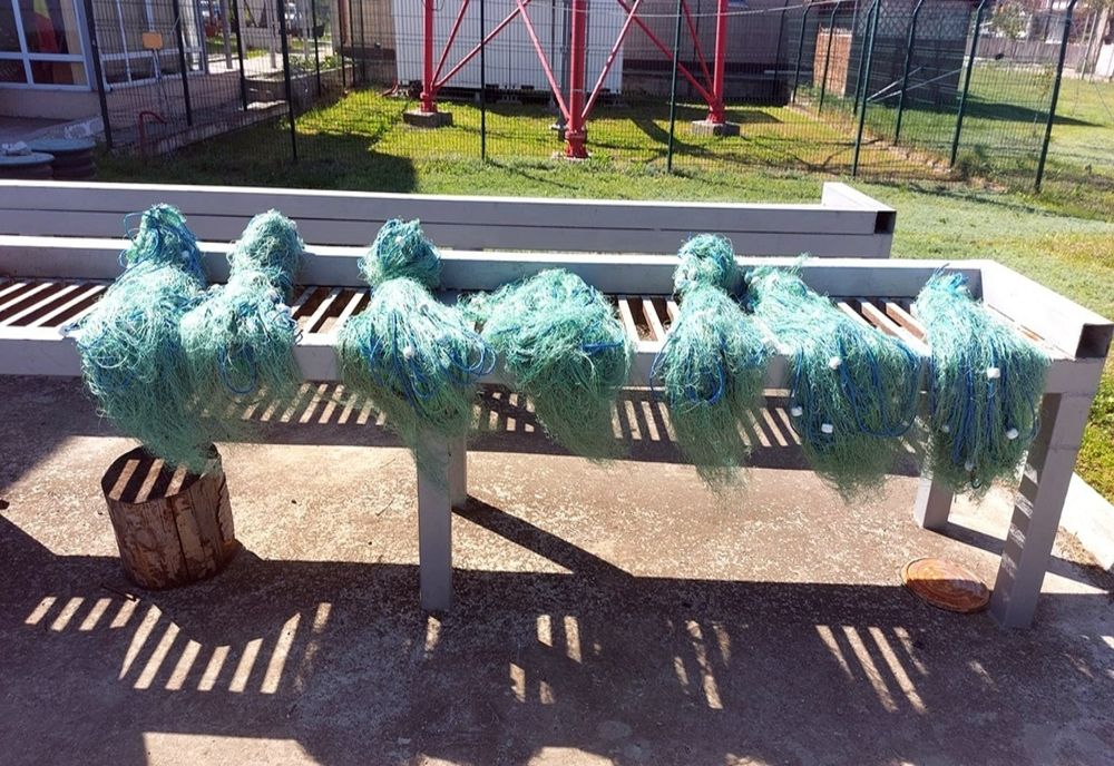 Zeci de kilograme de pește provenit din braconaj și sute de metri de plase, confiscate în Delta Dunării