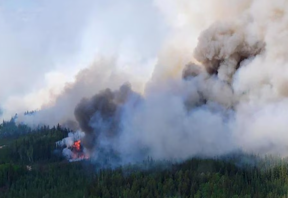 JAPONIA: EVACUĂRI DIN CALEA CELUI MAI MARE INCENDIU FORESTIER DIN ULTIMELE DECENII