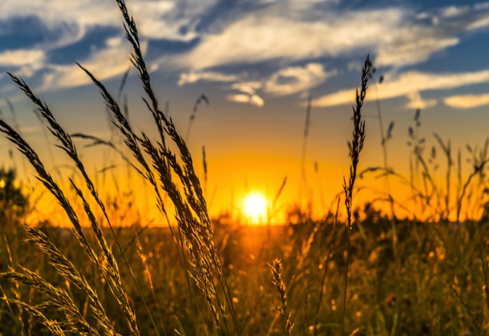 Val de caniculă în toată România, cu temperaturi de 35 de grade