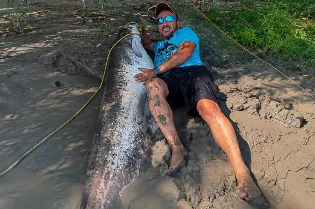 Captură uriașă în Delta Dunării: doi pescari au prins un somn estimat la peste 100 de kilograme  și peste 2 metri
