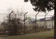 Aterizare de urgență pe Aeroportul Mihail Kogălniceanu