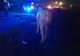 FOTO VIDEO| Căruță spulberată de o mașină