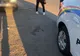 Amenzi de aproape jumătate de milion de lei, aplicate de polițiștii locali