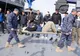 Forțele Navale, la exercițiul NATO cu focus medical Vigorous Warrior 19