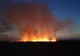 VIDEO| Incendiu de proporții la Vadu. Ard 200 de hectare de vegetație uscată