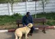 Proprietarii își pot recupera câinii de la Serviciului Gestionare Animale Abandonate