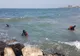 Adolescent din Craiova, dispărut în mare, în stațiunea Mamaia (VIDEO)
