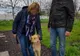 Zeci de cereri de adopție depuse la Adăpostul pentru animale fără stăpân din Constanța