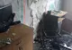 FOTO| Incendiu într-o garsonieră din Năvodari