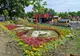 Zeci de mii de flori colorează Țara Piticilor din Parcul Tăbăcărie