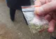 FOTO|Tineri prinși cu droguri în Vama Veche și Mamaia