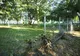 Țarcurile pentru câini din Parcul Tăbăcărie au fost vandalizate!