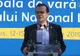 Ludovic Orban: Bulibășeală și babilonie în politica românească