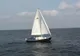 VIDEO|Velierul olandez, căutat pe Marea Neagră, a fost găsit