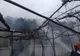 FOTOI Incendiu puternic în Râmnicu de Jos. Casă distruă de flăcări