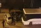 Scandal în centrul Piteștiului! Mai mulți suporteri ai Petrolului au fost conduși la sediul poliției