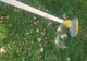 Acte de vandalism în parcul Tăbăcărie!