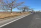Accident grav pe DN 65! Cisterna a lovit mai multe mașini!