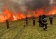 FOTO VIDEO| Incendiu de proporții la Vadu Oii. Pompieri din Constanța și Ialomița, în luptă cu flăcările