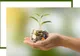 BNR și ASF organizează evenimente dedicate educației financiare în cadrul Global Money Week