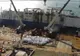  CNAPMC: Încărcătura navei Queen Hind a fost descărcată și trimisă la neutralizare