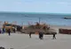  Operatori de plajă  de pe litoral, amenzi record pentru construcții ilegale 