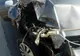 FOTO| Accident  pe Autostrada A4