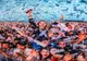 Untold, Neversea, ARTmania, Electric Castle, Summer Well vor fi sprijinite de Guvern