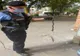 FOTO VIDEO| Panică într-un bloc din Constanța. Șarpe capturat de jandarmi 