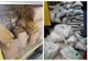 Tutun  în valoare de peste 2.000 lei, descoperit de poliţiştii de frontieră