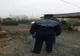 Transportul și tăierile ilegale a brazilor de Crăciun, în vizorul polițiștilor tulceni