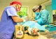 Recensământ și sterilizare gratuită a câinilor comunitari