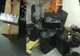 VIDEO Contrabandă în Portul Constanța. Câinele polițist Pobaya „a mirosit” țigările ascunse pe o navă