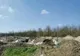 Primăria Murfatlar amendată de Garda de Mediu