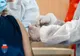 Peste 2600 de persoane vaccinate la Spitalul Militar de Urgenţă „Dr. Alexandru Gafencu” din Constanţa