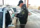 Opt români prinși la frontieră cu teste COVID false