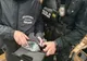 Video: Peste 2.800 de pistoale, depistate în PTF Isaccea, într-un autotren cu remorcă condus de un bărbat din Ucraina