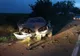 Accident mortal după ce o șoferiță de 19 ani a intrat cu mașina într-un copac