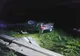 FOTO Accident grav în Ialomița. Doi copii și mama lor la spital